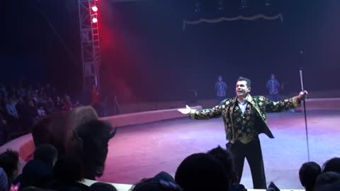 Circus. The show of different animals. Bisons, kangaroos, ostriches & giraffe