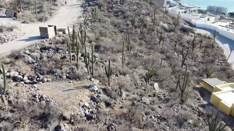 Pedregal New Lots