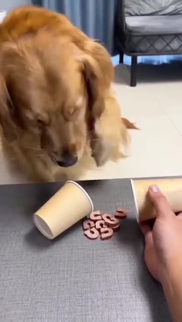 Anti-Loosh Video Number 76. LOOSH is real and bad. Explained below and watch the video!