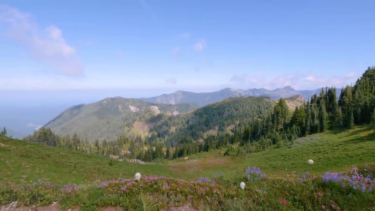 Rainier National Park - Nature Relax Video, Summer Scenery - 2 HRS