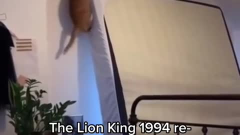 ‘LONG LIVE THE KING’ 🤣 this will never get old 👏 🎥 ✨🪐