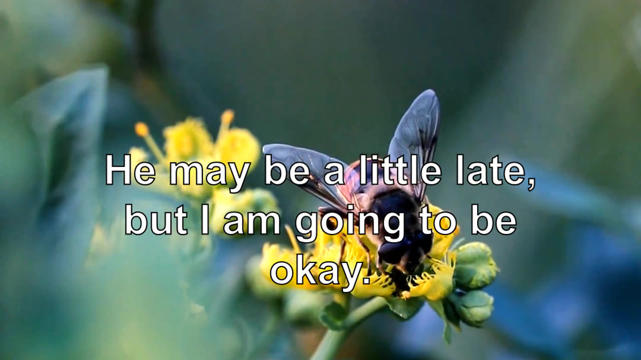 He may be a little late, but I am going to be okay.