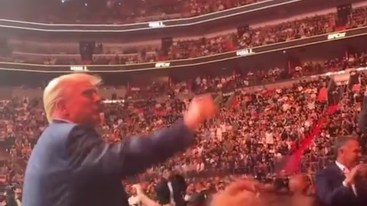 Donald Trump in high spirits as he's greeted by crowd at UFC fight