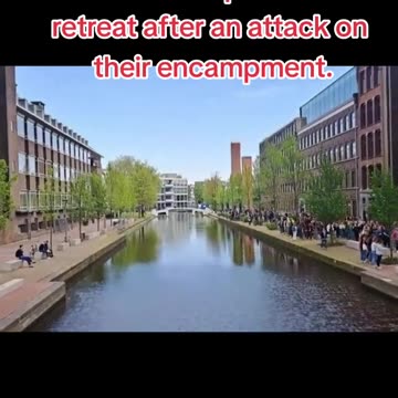 THE GEN Z OINK PUSHBACK