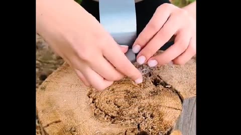 Getting back to what works