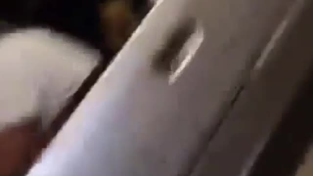 Вот это Дал так дал