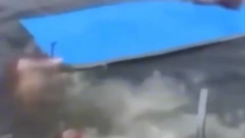 where is he