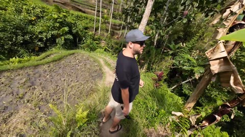 Rice Terrace in Bali!