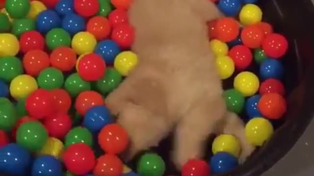 This one is mine, and that one is mine, too