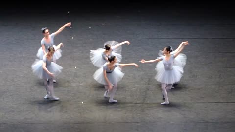 Vienna State Opera, funny ballet. Слава Україні!