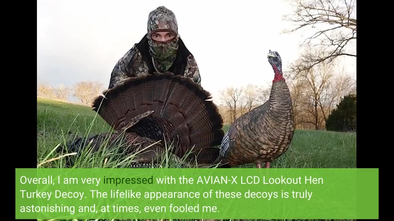 Skim Comments: AVIAN-X LCD Lookout Hen Turkey Decoy Durable Realistic Lifelike Collapsible St...