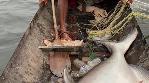 The fisherman caught a big fish, do you know the name of the fish?