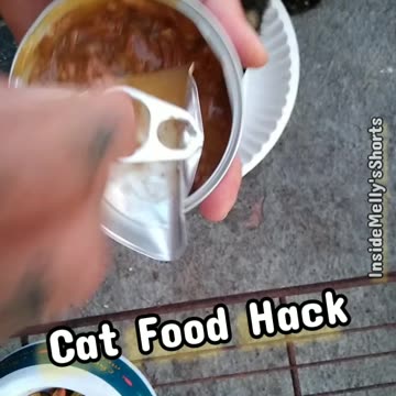 Canned Cat Food Hack (I bet you never knew)
