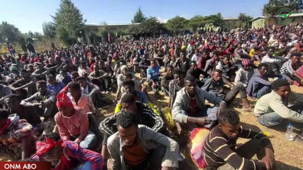 Dargaggoota Dirqiin Leenjii Waraanaatti erguu