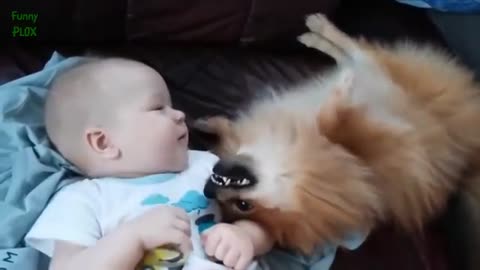 Cute Cats And Dogs Love Babies. 2015 Compilation [New Hd]