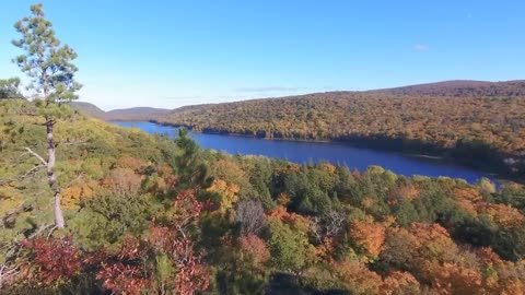 Enchanting Autumn Forests with Beautiful Piano Music