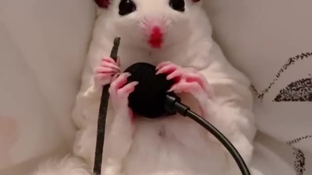 Cute mouse cutting wire