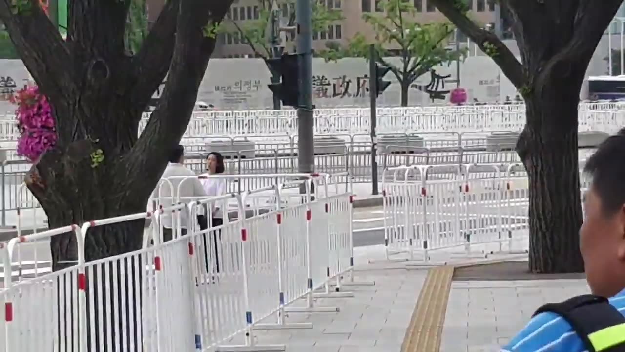 20190703_V3_S07(ciUI-cgkBXg)신비스러운 동물 한마리가 트럼프 대통령 1호차 앞을