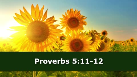 1 Minute -- Proverbs 5 Devotional -- August 5, 2023