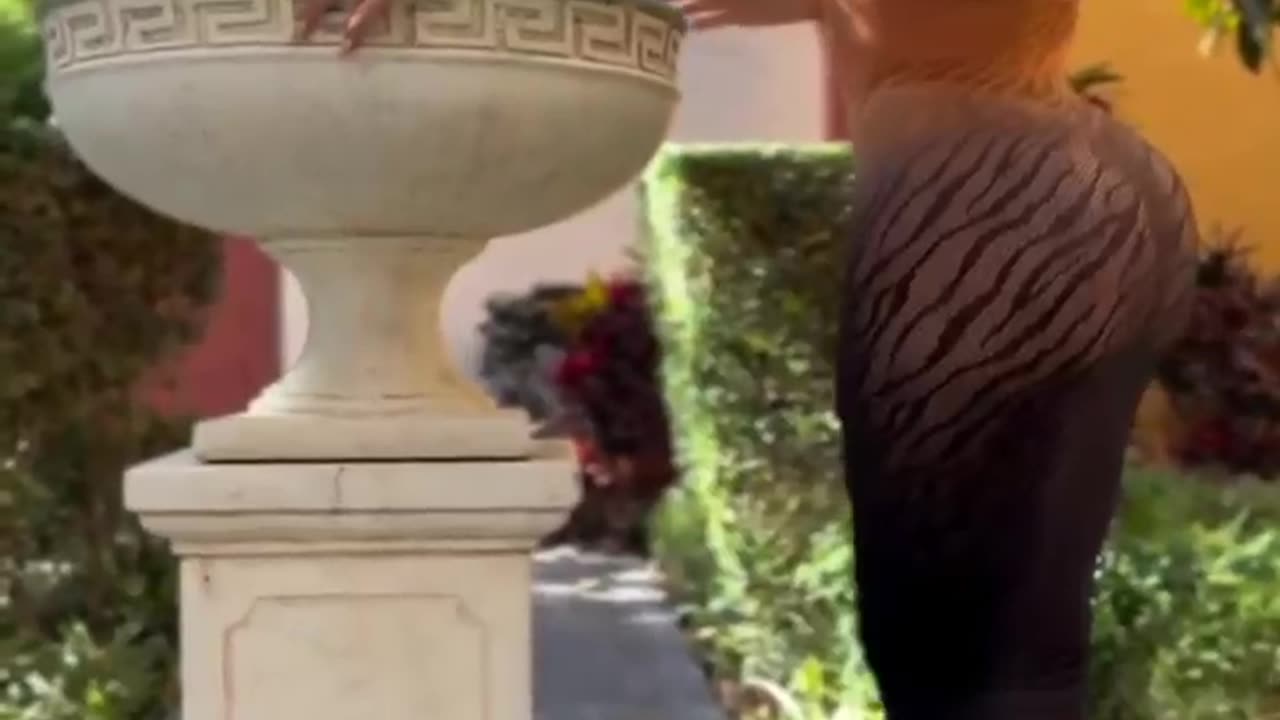 Thick Assed Black Covered with fishnet.