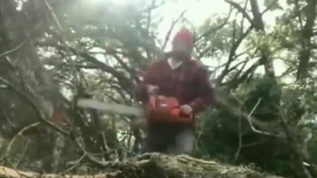 Funny people, lumberjack get quite a surprise