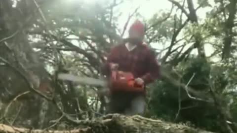 Funny people, lumberjack get quite a surprise