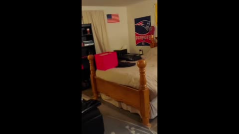 WAR ZONE PORTLAND POLICE RESPOND TO SHOOTING ON NE SHAVER