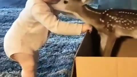 Funny pets❤️baby dear😇