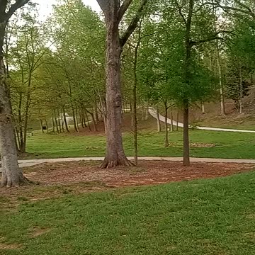 Maysville Georgia Park