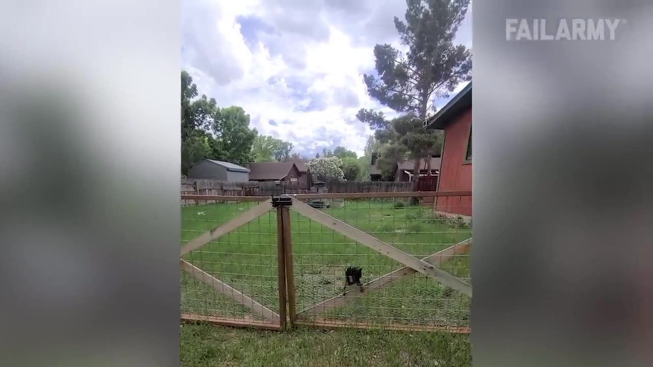 Hilarious Fails of the week