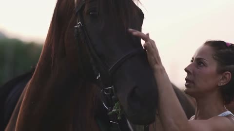 Girl is stroking the horse