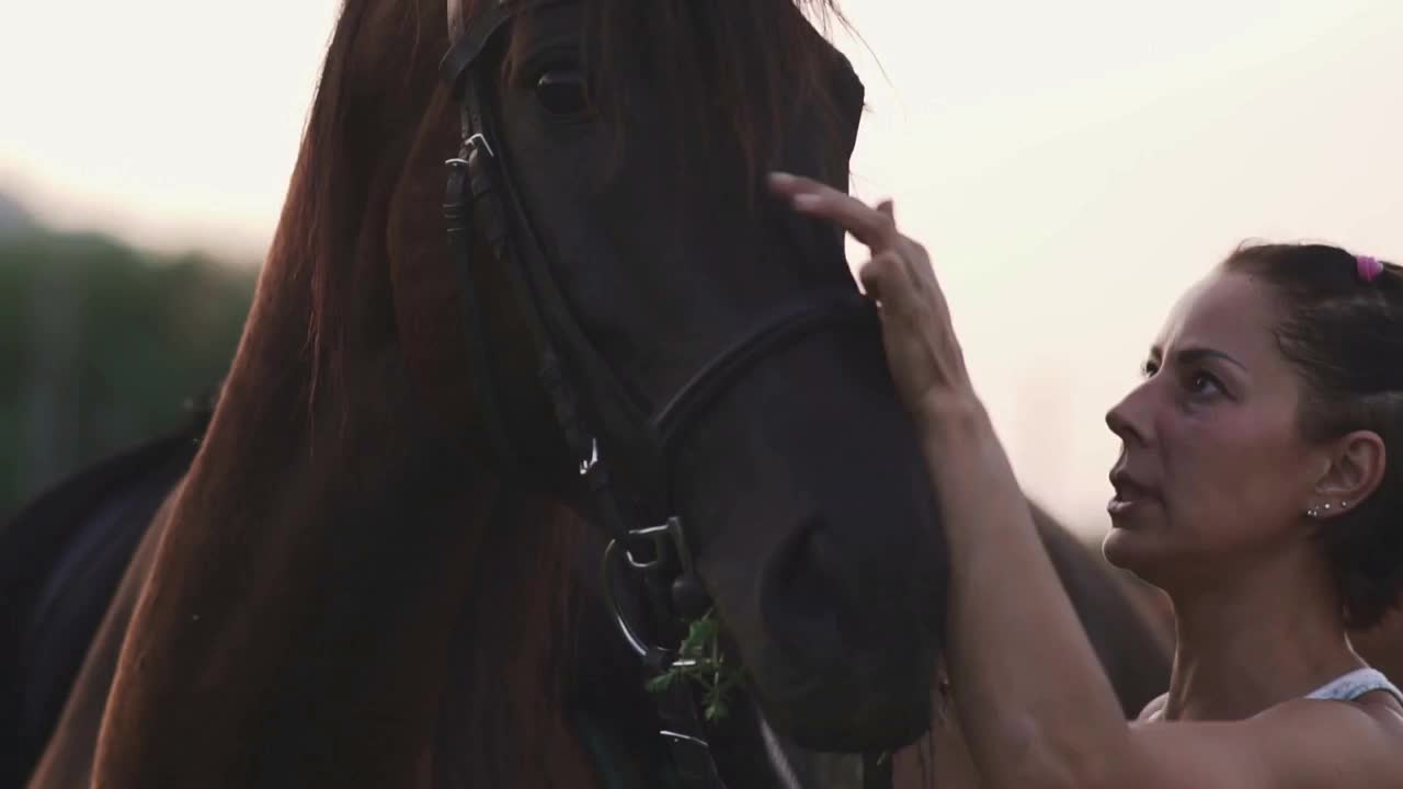 Girl is stroking the horse