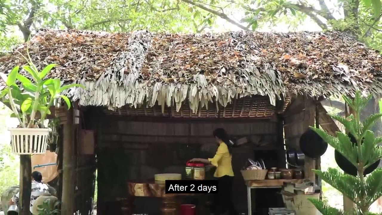 Countryside life TV: Winged beans is a high protein crop, I collect them for my recipe