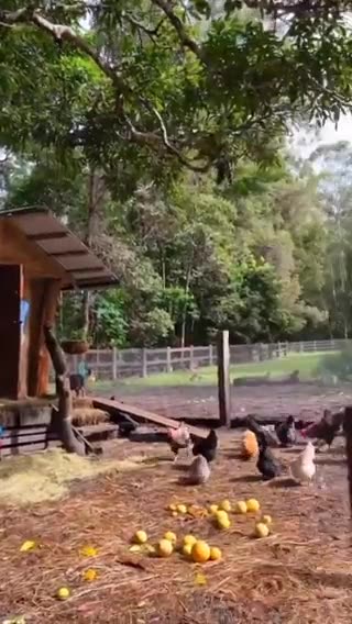 They're Afraid Of Off Grid Life