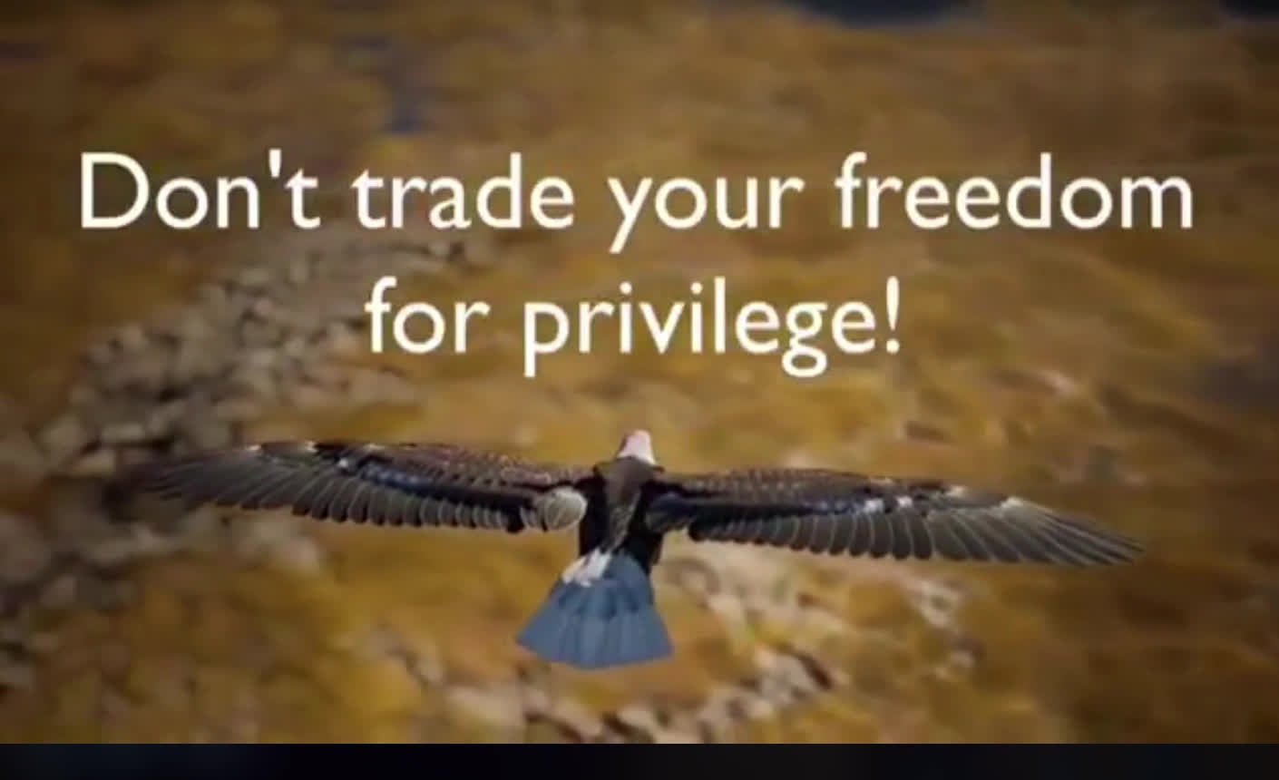 FREEDOM CAN NOT BE GIVEN