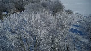 Frosty Morning on the Prairie...