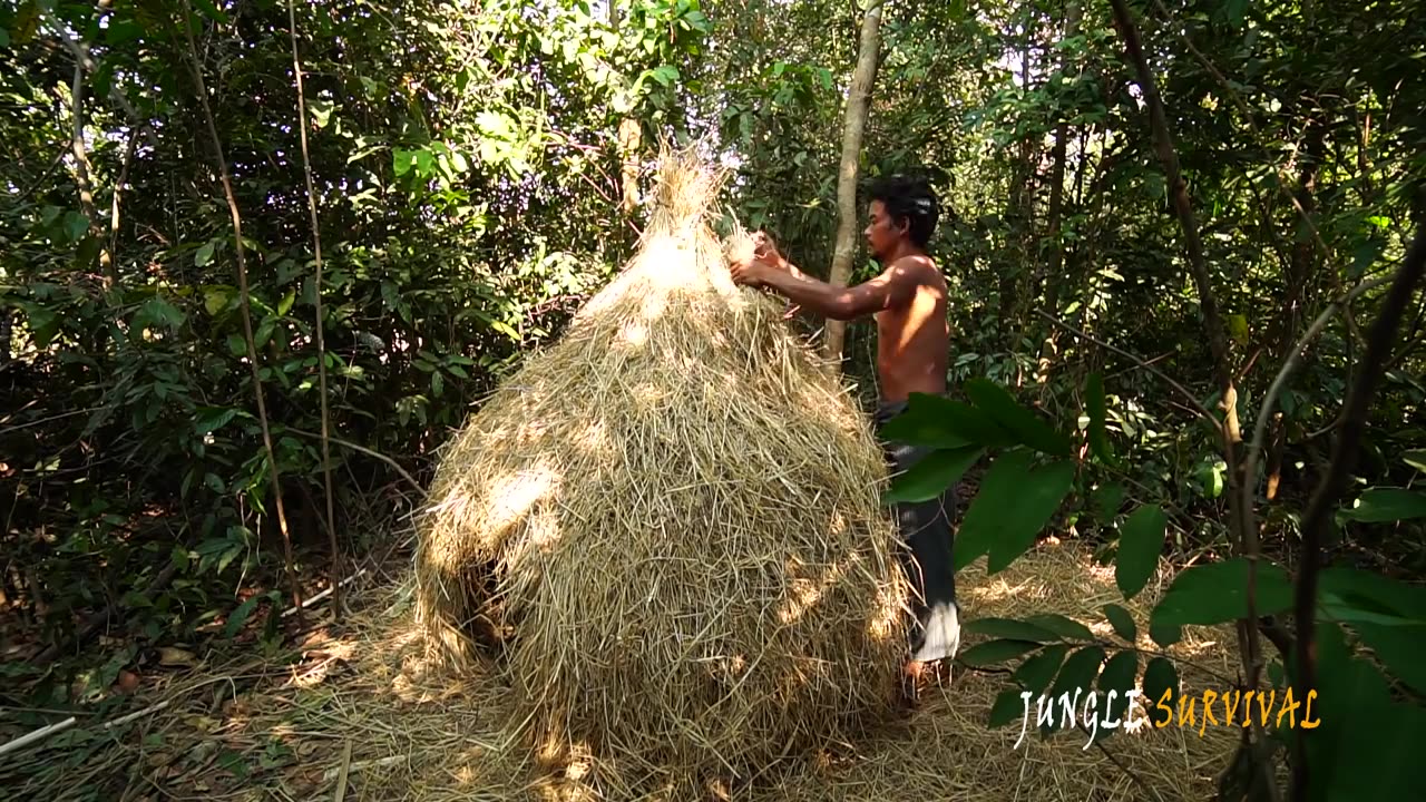 Building Bird Nest Tree House