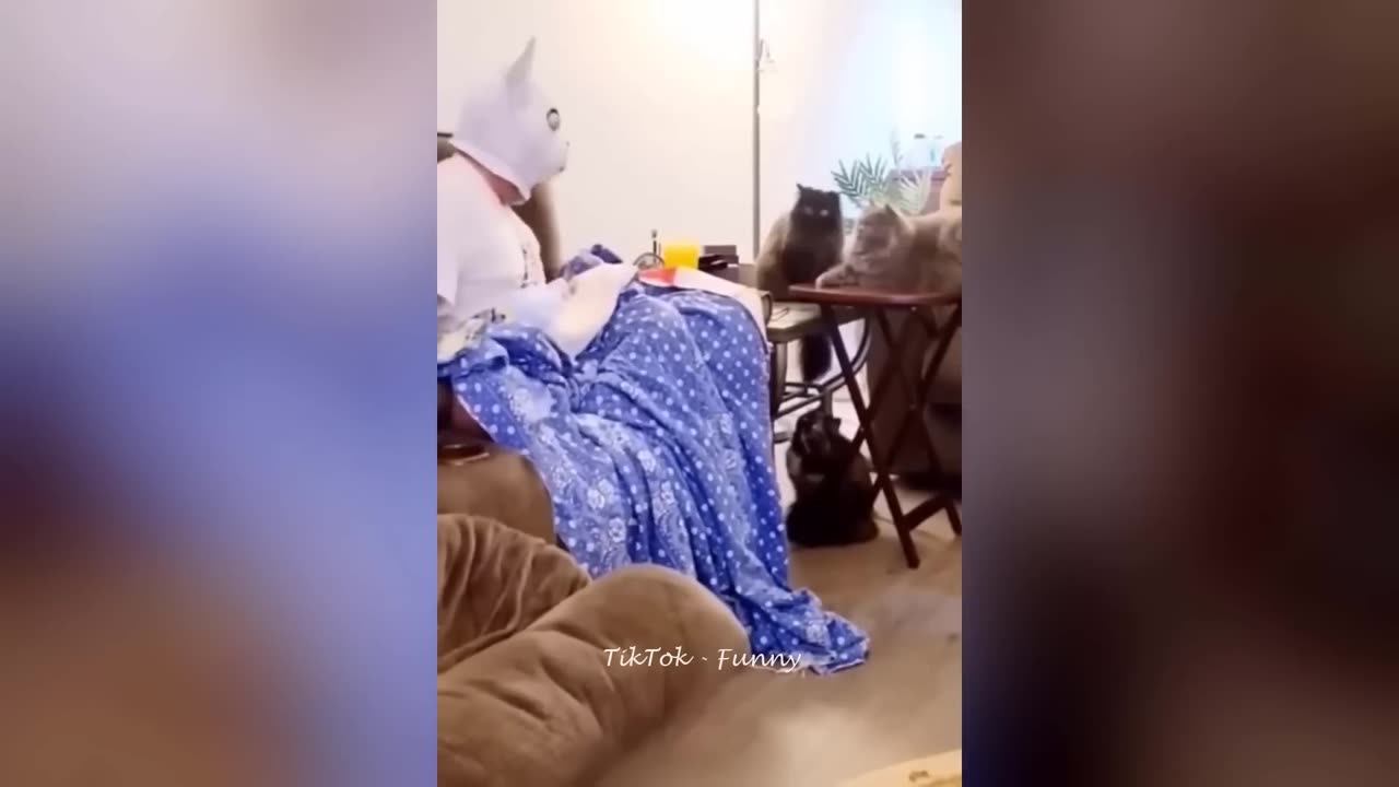 Best Funny Dogs And Cats Videos 😅 - Funniest Animals Videos 2023😇