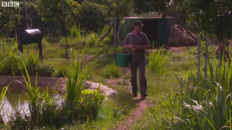 Feeding 39 Hungry Moon Bears Takes A Military-Style Mission! | BBC Earth