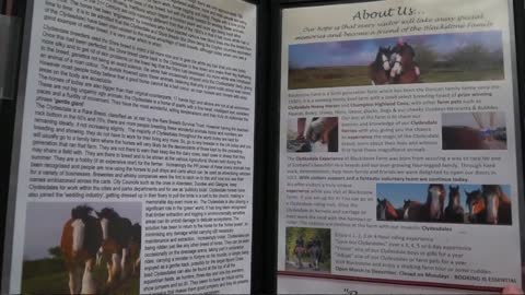 Riding the Clydesdale in Scotland