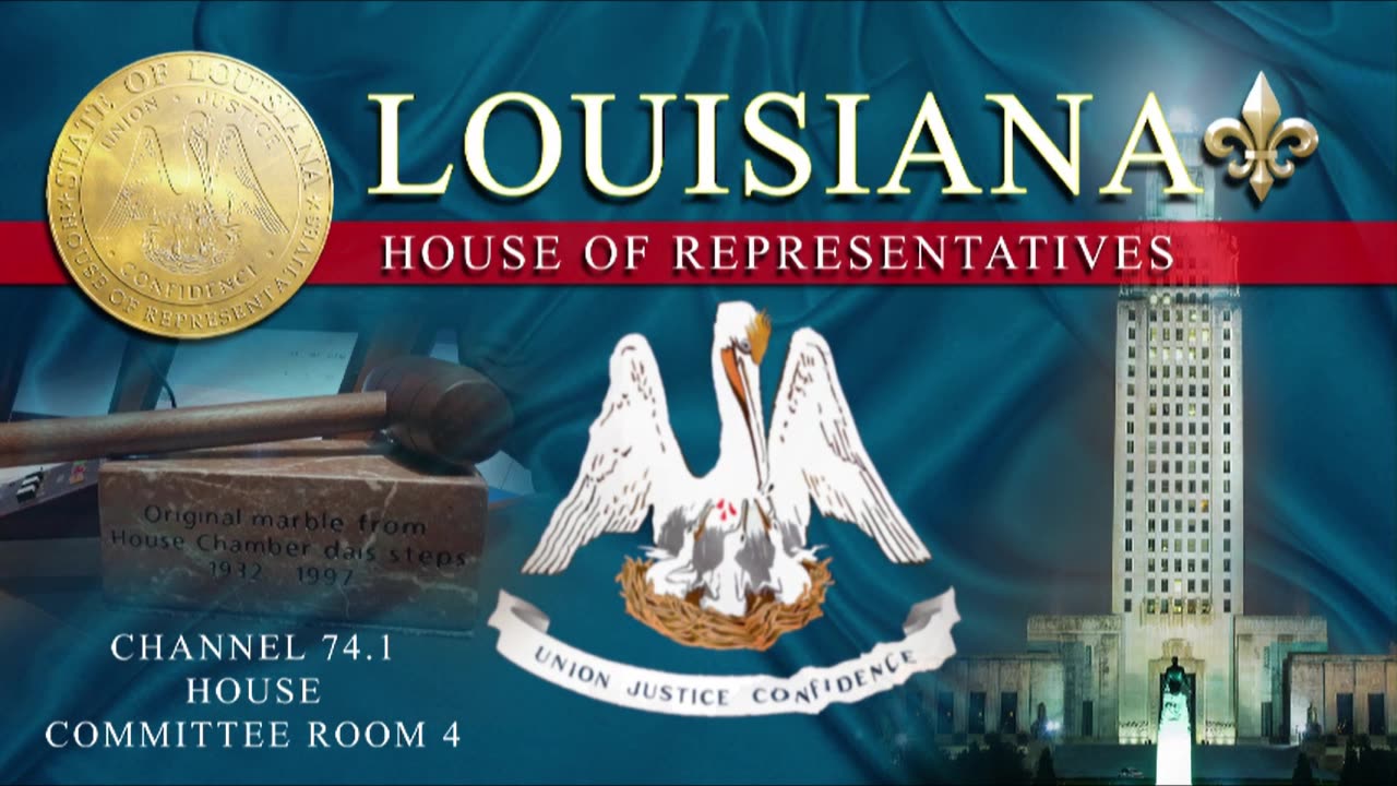 Louisiana Vital Records, Oversight Hearing