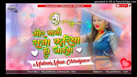 Malai music mafiya Jhan Jhan Bass Hard Bass Toing Mix ham gor bani raja kariya ho jayib