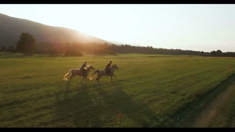 Horseback Riding Gallop In A Sunset