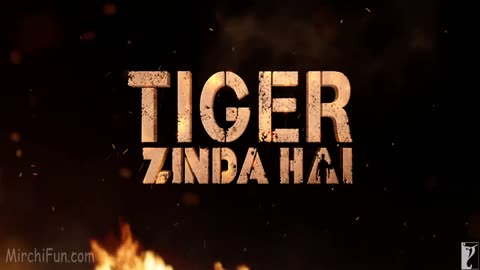 Hindi SOng tiger Jinda Hai