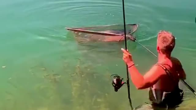 Carp caught 32 kg