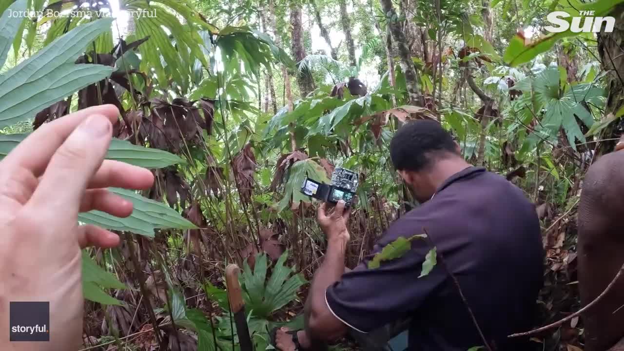 Moment researchers photograph bird last seen 140 years ago