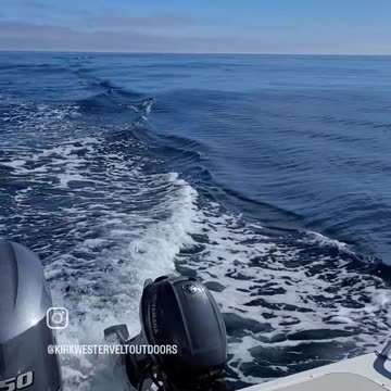 Ft Bragg Tuna Fishing