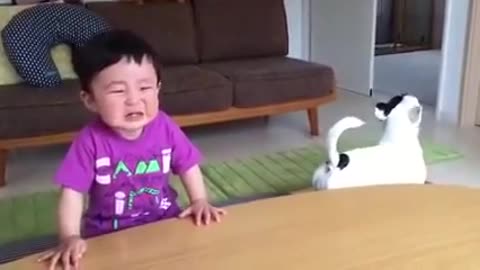 funny videos Most funny DOG AND KIDS Videos