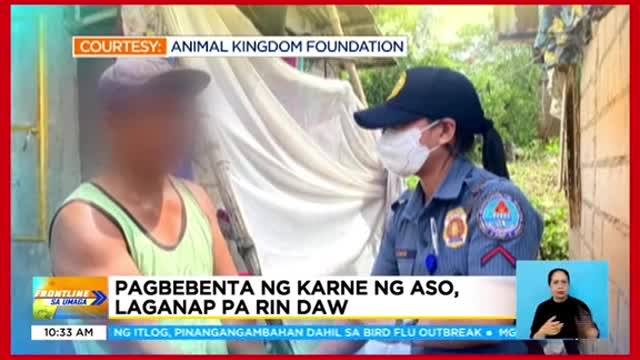 11 aso, na-rescue sa Bulacan