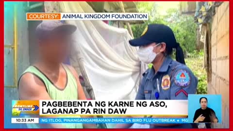 11 aso, na-rescue sa Bulacan